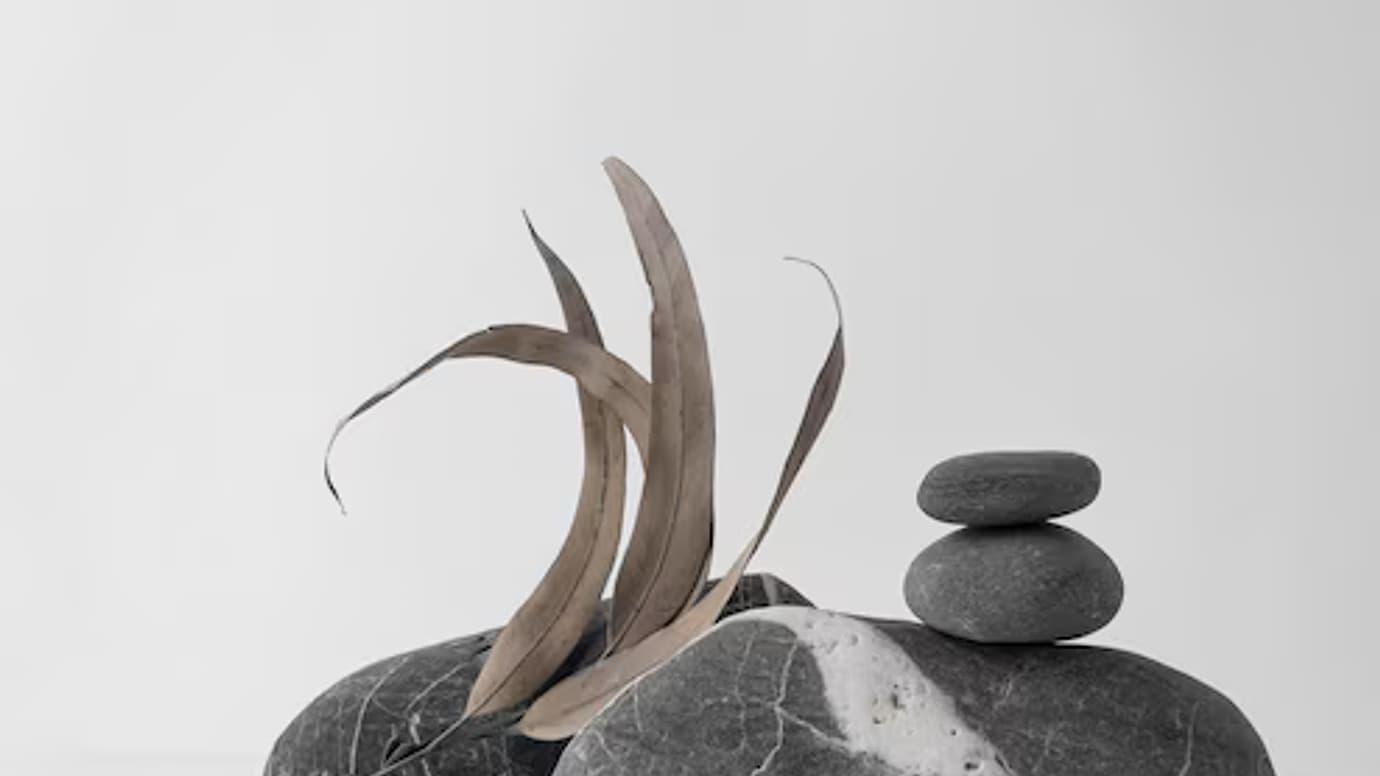 Balanced stones and dry leaves arranged on a quiet neutral background